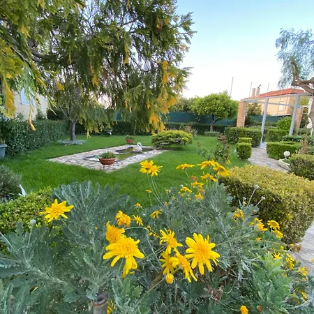 Apartament Diamond